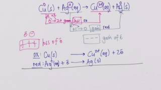 Redox Reactions  Grade 12 Revision [upl. by Holle]