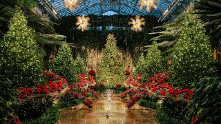 The Botanical Splendor of A Longwood Christmas Lights up our Conservatory 2022 [upl. by Eikcin]