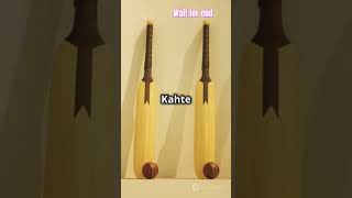 😱amazing Fact about cricket Bat cricket indiancricketer cricketlover [upl. by Yurt211]