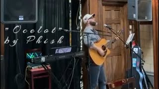 Live  Ocelot Phish cover [upl. by Skees853]