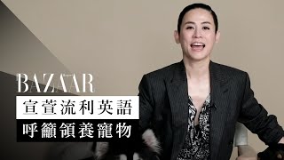 宣萱以流利英語建議領養代替購買寵物 Jessica Hsuan supports the pet adoption  speaking english  Harpers BAZAAR HK [upl. by Kelleher]