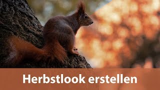 Hintergrund anpassen  Herbstlook Tutorial  Bildbearbeitung  Photoshop [upl. by Henleigh954]