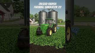 Oilseed radish  farmingsimulator22 fs22 shorts [upl. by Frankie201]