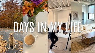 VLOG furniture delivery getting back into routine cleaning etc [upl. by Enelad]