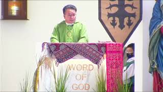 Homily Extract  14th Sunday Of Ordinary Time Sunday Mass [upl. by Fraser433]