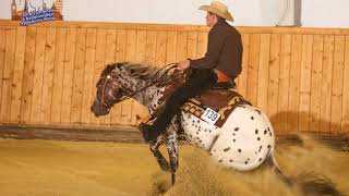 Topsail Viper Appaloosa reining stallion [upl. by Lebaron]