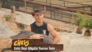 Everglades Holiday Park Gator Boys on Working with Animals [upl. by Adnawed191]