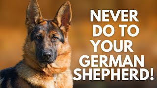 5 Things You Must Never Do to Your German Shepherd [upl. by Yadroc422]