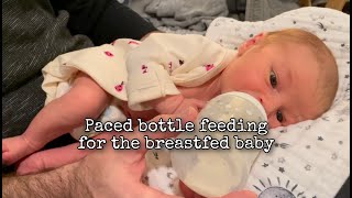 Paced bottle feeding for the breast fed baby [upl. by Parhe233]