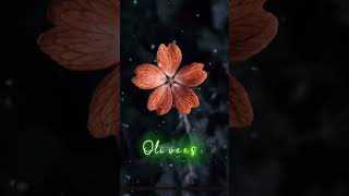 Inai piriyaa varam ketpen whatsapp status [upl. by Bernstein905]