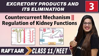 Excretory Products and its Elimination 03  Countercurrent Mechanism  Class11NEET  RAFTAAR [upl. by Feigin119]