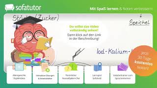 Verdauung – Enzyme zersetzen unsere Nahrung einfach erklärt – Biologie [upl. by Ycam402]