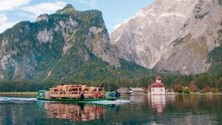 Almabtrieb Berchtesgaden Koenigssee [upl. by Aihsena626]