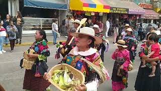 Desfile de la feria de Ixtlahuaca de Rayón estado de México [upl. by Kaltman]