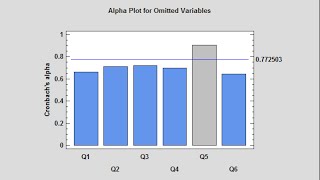 Item Reliability Analysis [upl. by Einad]