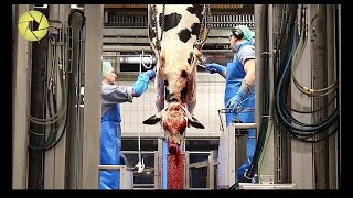 Inside The Meat Processing Plant  Inside The Food Factory  Incredible Process Worth Watching HD [upl. by Genesia]