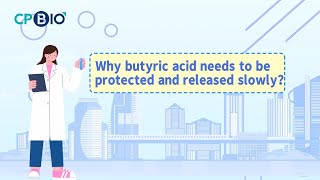 Why butyric acid needs to be protected and released slowly？animalhealth farming cute pig [upl. by Leong]