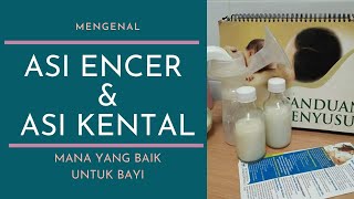 Macammacam ASI  Kenali apa Itu Hindmilk dan Foremilk [upl. by Enimassej]