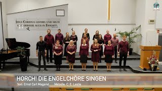 Horch Die Engelchöre singen [upl. by Laddy]