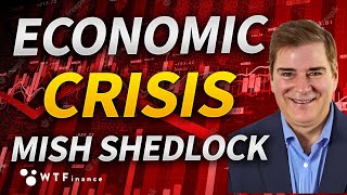 We Are on The Brink of an Economic Crisis with Mike quotMishquot Shedlock [upl. by Darce]