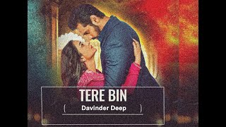 Tere Bin ● Davinder Deep ● Latest Punjabi Songs [upl. by Neimad470]