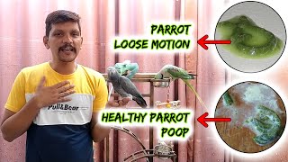 Parrot ko Motion hone ki Wajah  Urdu  Hindi  PBI Official [upl. by Bilski90]