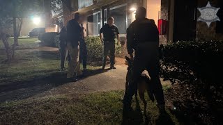 CCSO On Patrol Bank robbery suspect arrested with K9 unit’s help [upl. by Angell]