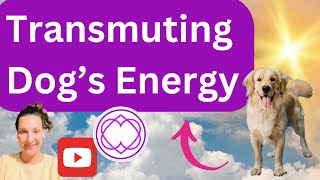 Energetic Harmony Transmuting Dog’s Energy for Human Wellness [upl. by Tegirb]