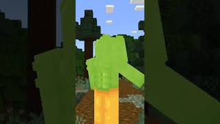 DUOLINGOEXE 4 minecraft minecrafthumor humor shorts [upl. by Barny611]