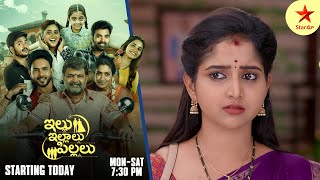 Brahmamudi  Promo  12th Nov 2024  Star Maa Serials  MonSat at 1 pm  Star Maa [upl. by Ullman175]