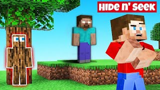 FUNNIEST HIDE amp SEEK EVER IN MINECRAFT  HEROBRINE SMP [upl. by Ihel]