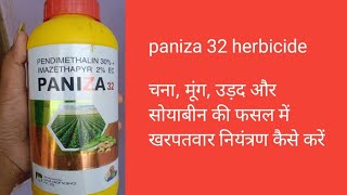 Paniza 32 herbicide Pendimethalin 30   imazethapyr 2  ec use in hindi [upl. by Eeleak]