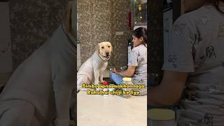 Simba Makhan Laga Raha Hai😂❤️ doglover minivlog ytshorts labradorlovers dogvlog [upl. by Standley799]