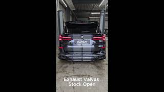 BWM X5 M60i dÄHLer Stage 3 Exhaust Sound [upl. by Anavlys]