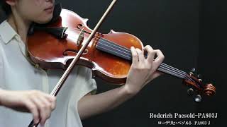 【楽器試奏動画】Roderich Paesold PA803J Violin [upl. by Bay]