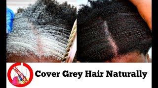 How To Turn White Or Grey Hair Into Black Naturally With No Chemicals Natural Hair Dye Step By Step [upl. by Gerg647]