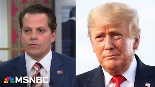 Anthony Scaramucci Trump will hurt anybody anything in his way [upl. by Lorri45]