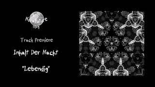 Inhalt Der Nacht  Lebendig SEELEN003  Seelen Records  Premiere [upl. by Rehttam]