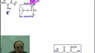 Peptide Synthesis [upl. by Devan]