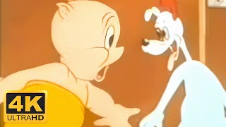 Looney Tunes  Porkys Pooch 1941 Remastered 4K 60FPS [upl. by Feriga]