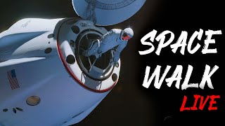 SpaceX Polaris Dawn Spacewalk 🔴 Live [upl. by Iliam]