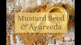 Mustard Seeds Stimulating amp Energizing Qualities Ayurvedas Perspective [upl. by Eul104]