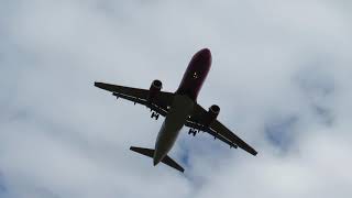 Planespotting Frankfurt Hahn  Wizzair A320 Landing at Frankfurt Hahn [upl. by Barret279]