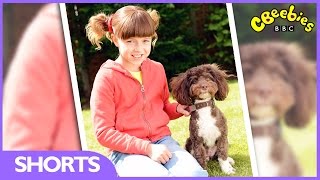 CBeebies  Topsy meets DIY Dereks dog  Series 3 [upl. by Ddot996]