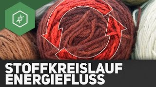 Stoffkreisläufe und Energiefluss  Ökologie [upl. by Ylehsa]