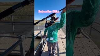 Fishing at a beautiful lake fishingvideo fishing fishinglife fisherman angler fishingtips [upl. by Aileve]