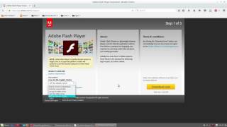 10 Install Adobe Flash  Things to Do After Linux Mint 18 Installation [upl. by Aden696]