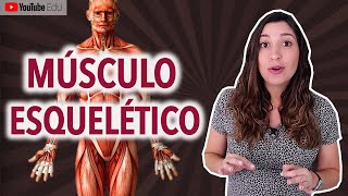 Classificação Morfológica dos Músculos Esqueléticos Sistema Muscular [upl. by Htebiram422]