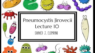 11 Pneumocystis Jirovecii [upl. by Ettelrac937]