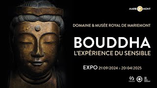 Bouddha Lexpérience du Sensible • Teaser de lexposition [upl. by Wolenik]